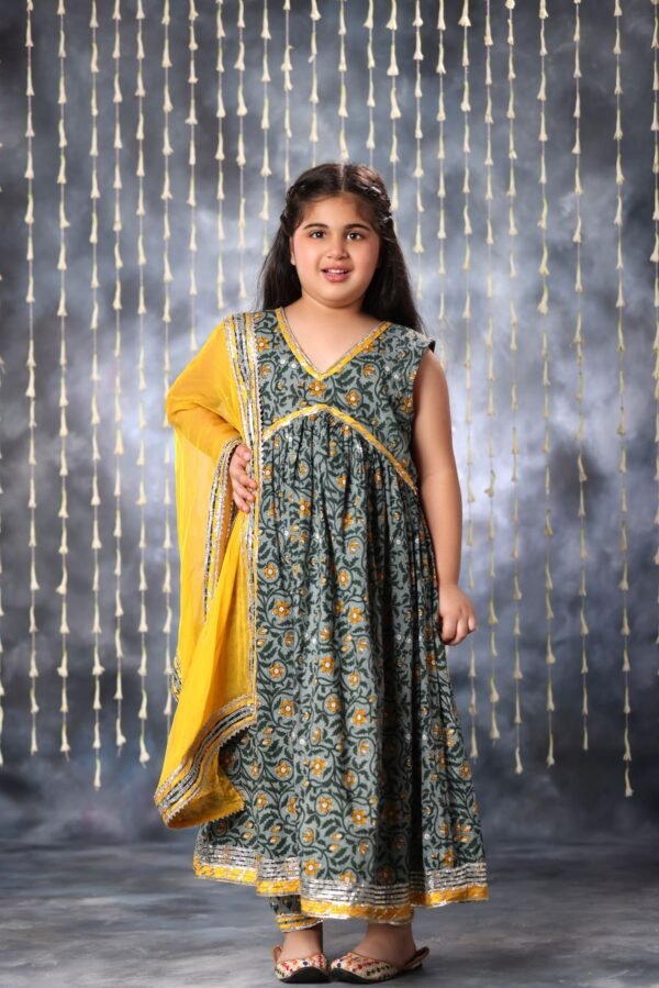 Grey Jaipuri Print Anarkali Sleeveless Kurta and Pant Set - Image 3